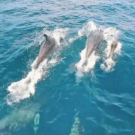 Oahu Willa Albufeira